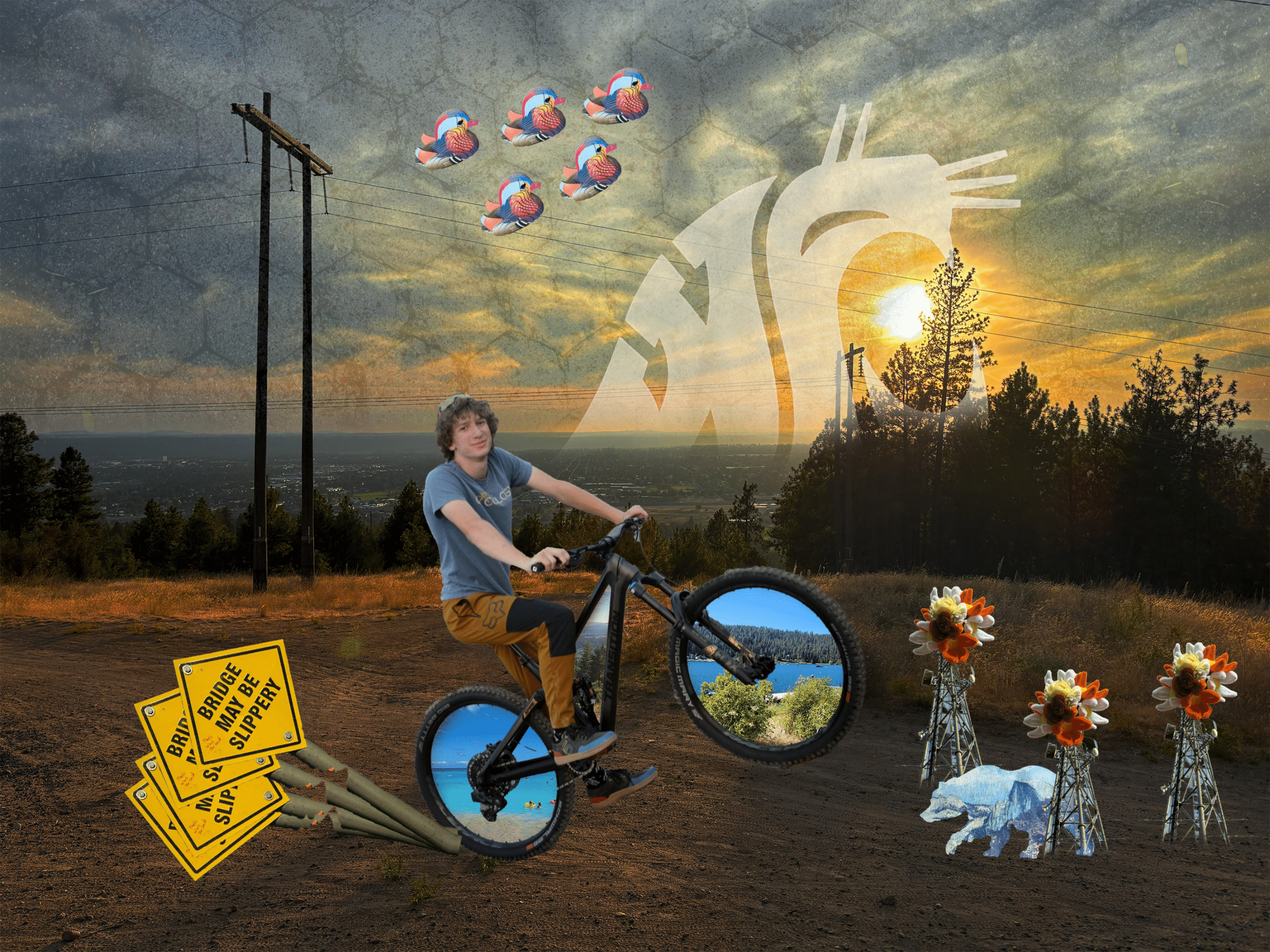 Self Portrait Collage